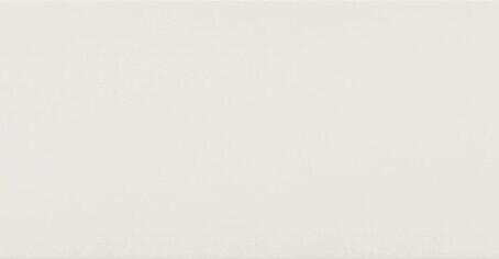 plitka-20452-damm-blanco-900-v1