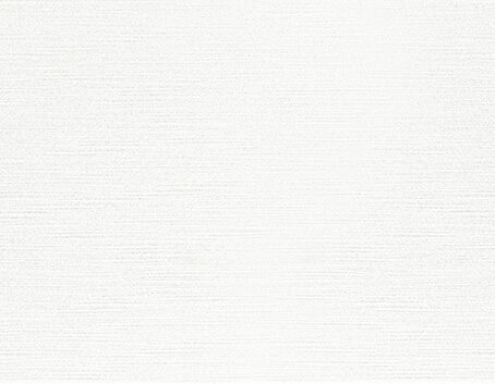 plitka-3090-mestre-blanco-862-v1