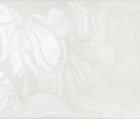 6c7d47aa7146dd3c737e4bc72a623ae6b760ea39